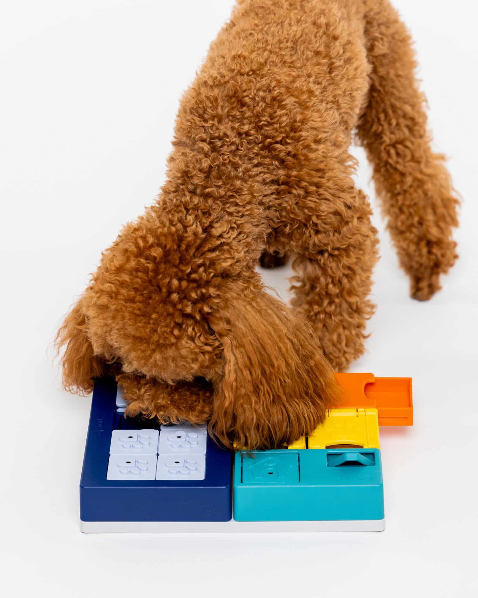 Pawzler Smarty Set - Puzzel - Hondenspeelgoed - 6x18x36 cm