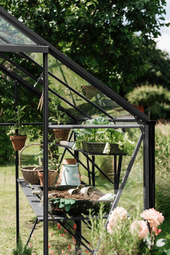 Royal Well Kate II - Kweekschap - zwart - 2.5x22.5x242 cm Royal Well Kate II - Kweekschap - zwart - 2.5x22.5x242 cm