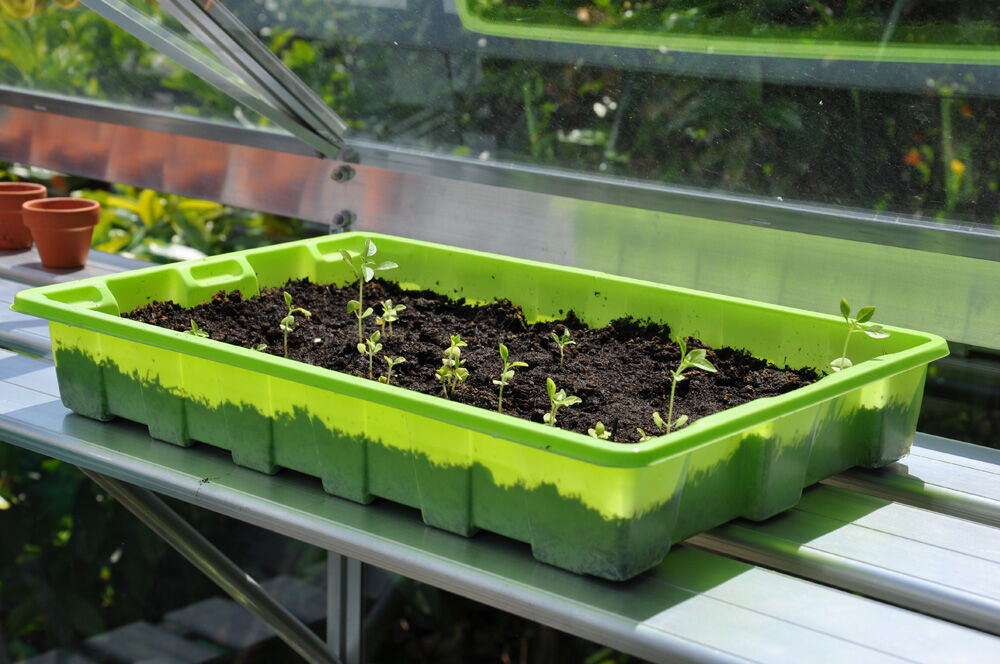 Royal Well Alu Sower 200 x 32,5 cm  - Kweekschap - M