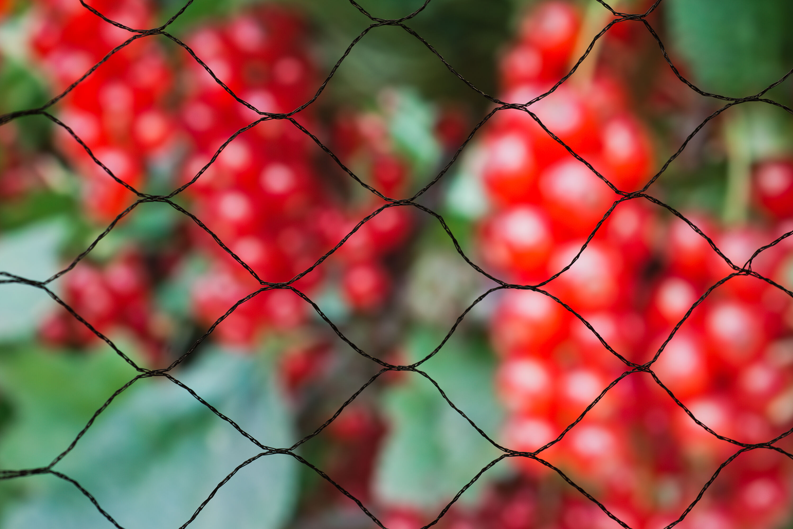 Nature Nethouders - Plantbescherming