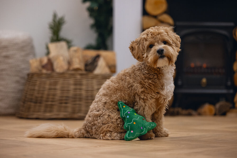 Beeztees Kerstboom - HondenspeeD323:D336lgoed - Groen