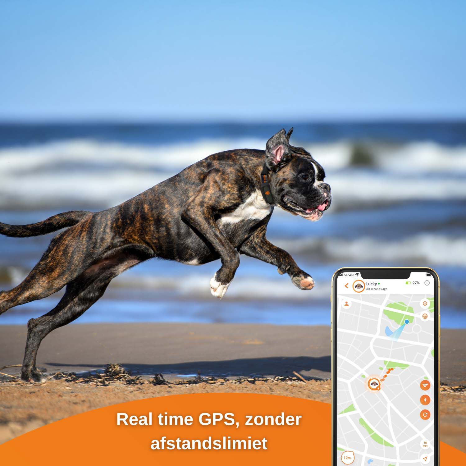 Weenect - GPS tracker Hond - zwart - XS