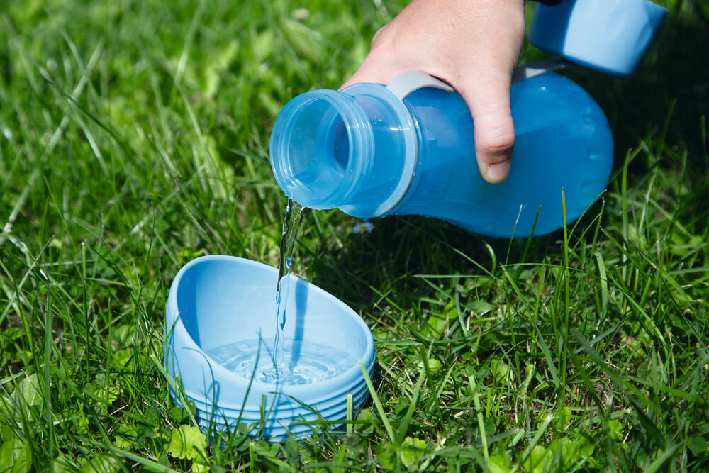 Beeztees Draagbaar - Drinkset - Blauw