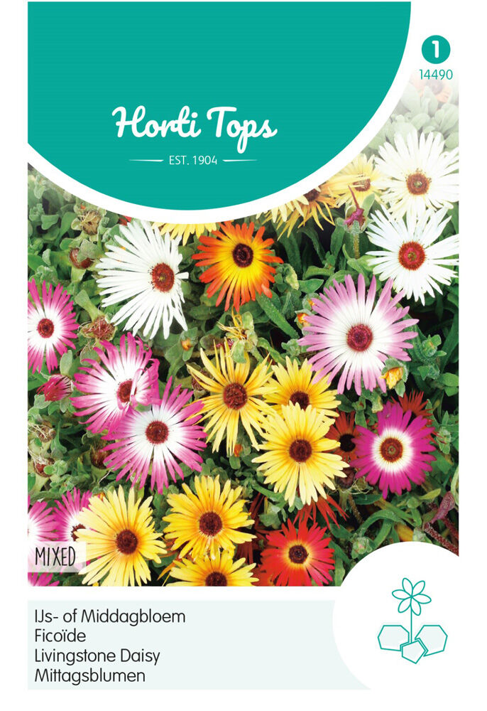 Hortitops IJs- of Middagbloem - Bloemzaden Hortitops IJs- of Middagbloem - Bloemzaden