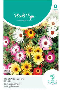 Hortitops IJs- of Middagbloem - Bloemzaden