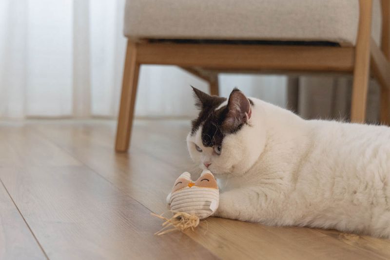 Beeztees Uil Pippa - Kattenspeeltje - Bruin