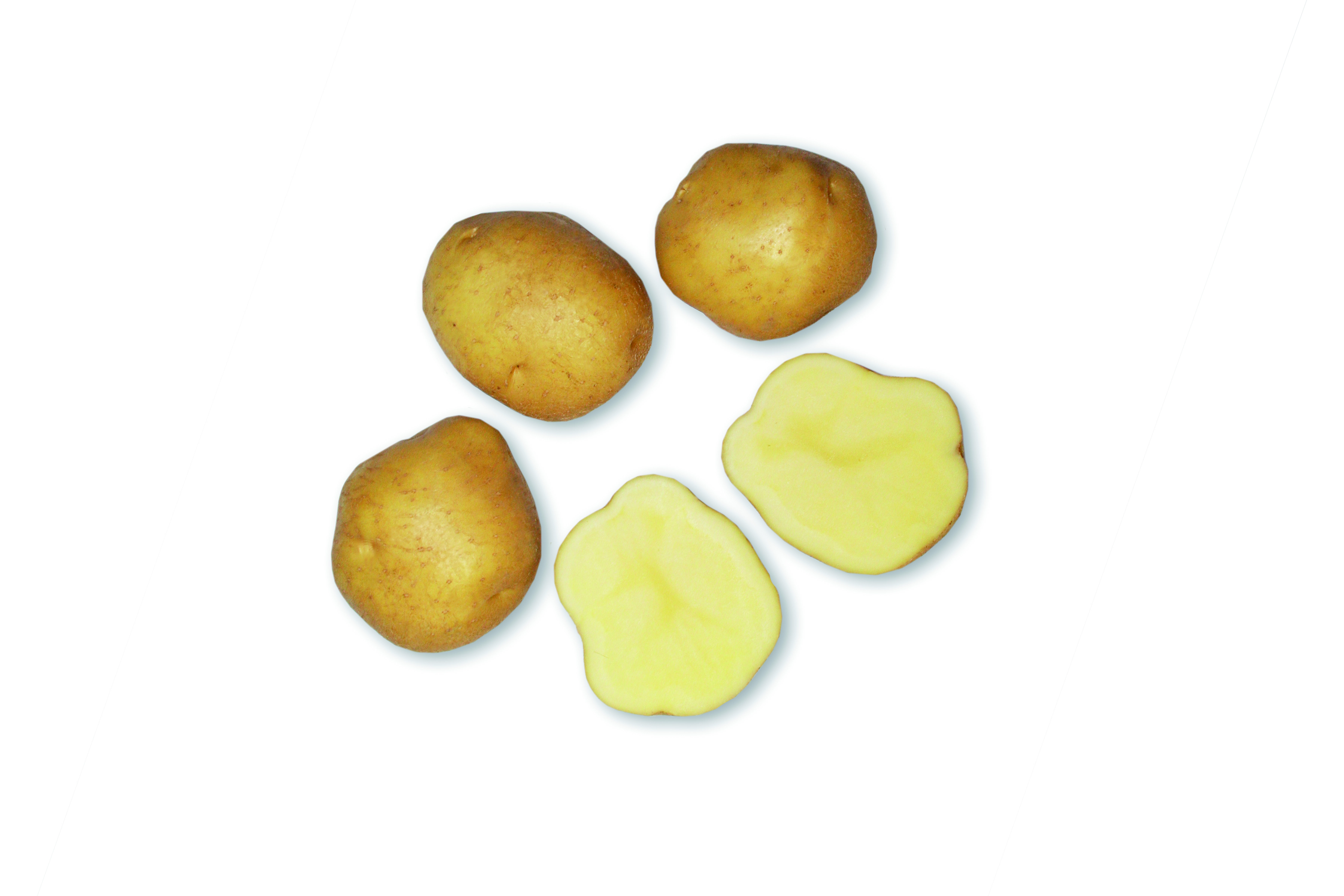 Eigenheimer - Pootaardappelen - 1 Kilogram - Kruimig Eigenheimer - Pootaardappelen - 1 Kilogram - Kruimig