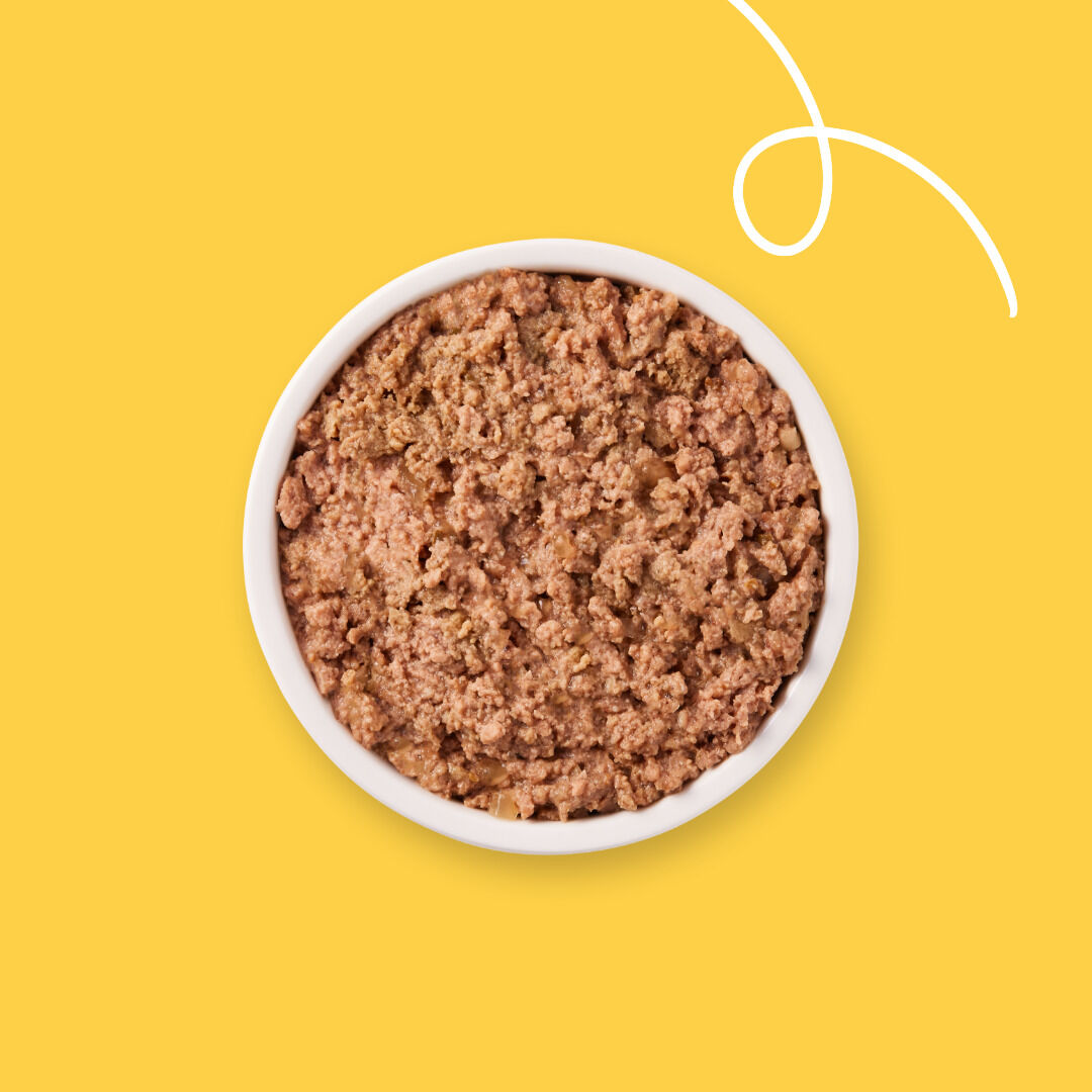 Yarrah Bio Pate Graanvrij - Hondenvoer - 150 Gram - Kalkoen