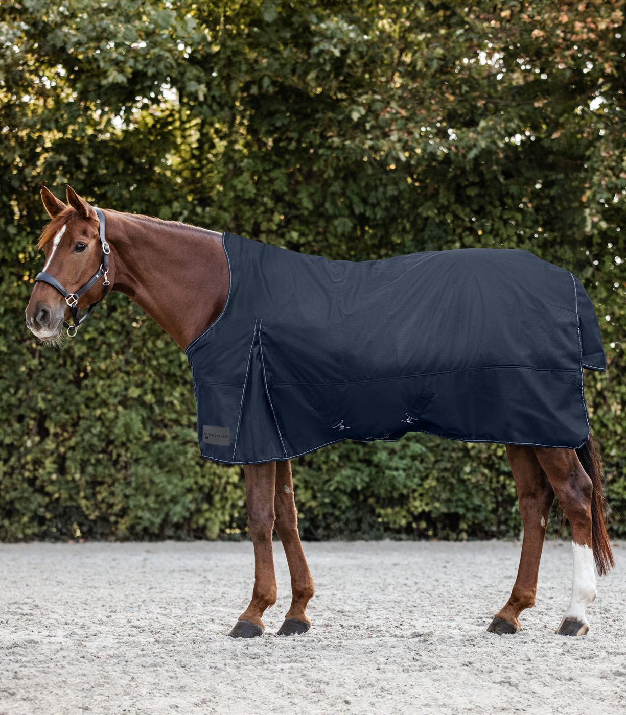 Waldhausen Nordic Hoge nek 200 gr - Winterdeken - Paardendeken - Blauw - 125/175 Waldhausen Nordic Hoge nek 200 gr - Winterdeken - Paardendeken - Blauw - 125/175