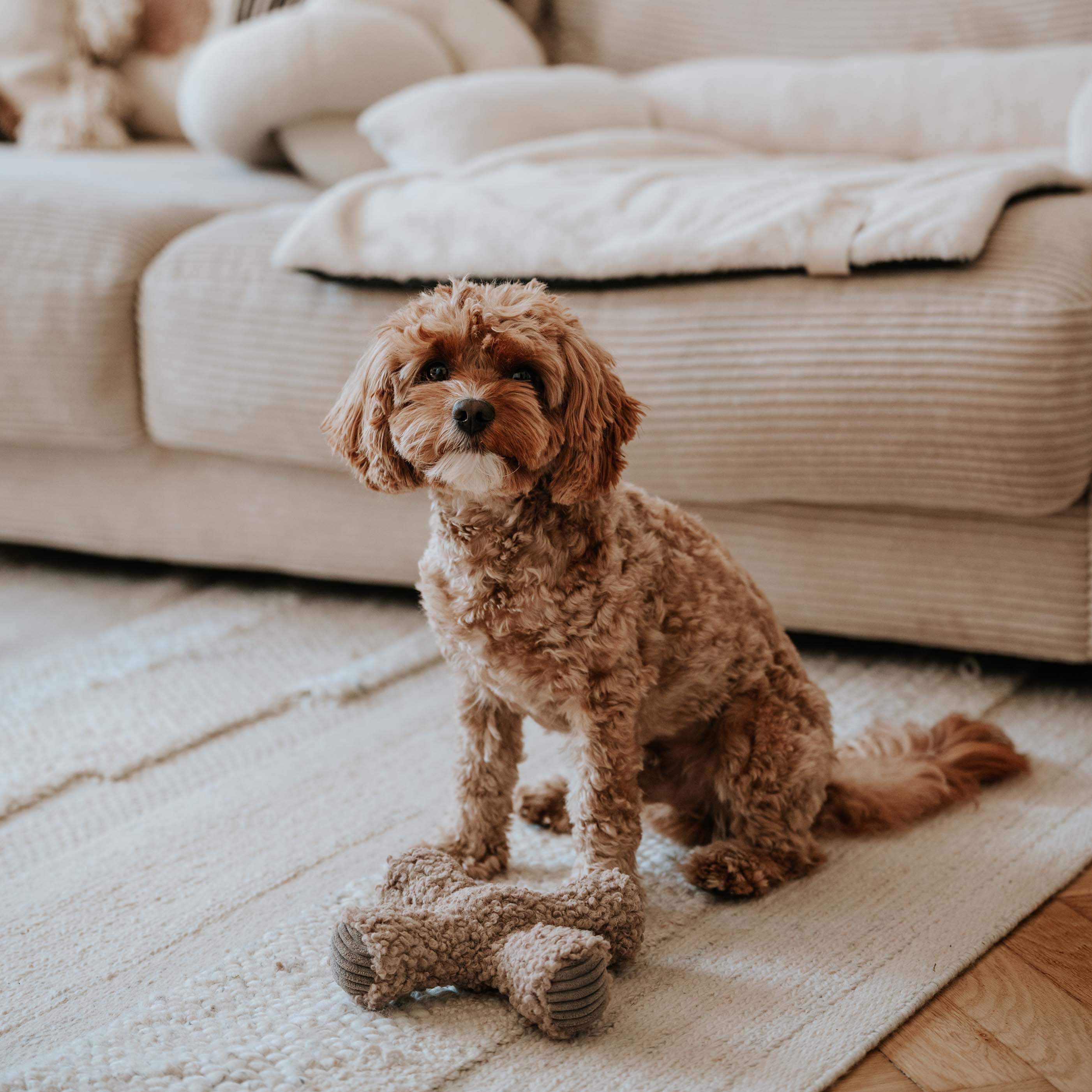 District 70 Ziggy Pluche - Knuffel - Hondenspeelgoed - Taupe - 7x30x30 cm - Large