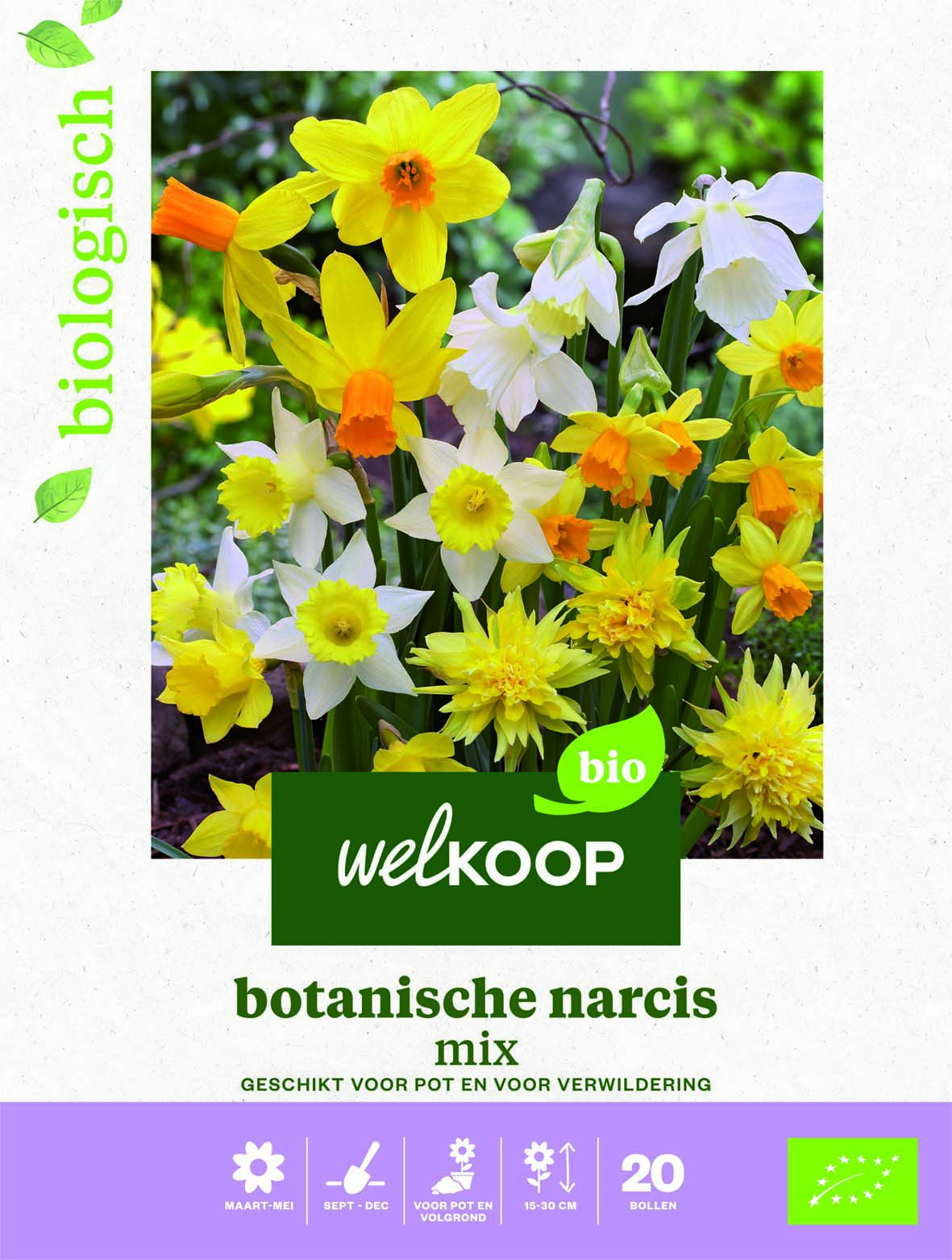 Welkoop Narcis Biologisch Botanische mix - Bloembollen Welkoop Narcis Biologisch Botanische mix - Bloembollen