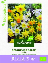 Welkoop Narcis Biologisch Botanische mix - Bloembollen
