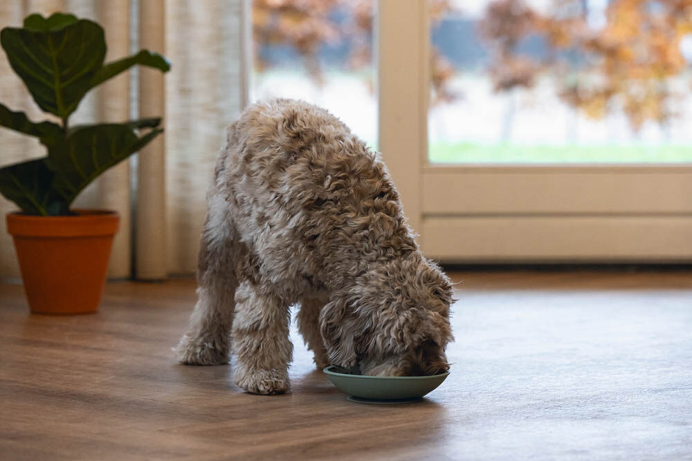 Beeztees Siliconen - Likmat - Groen