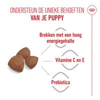 Royal Canin SHN Medium Start Babydog - Hondenvoer - 15 Kilogram - gevogelte