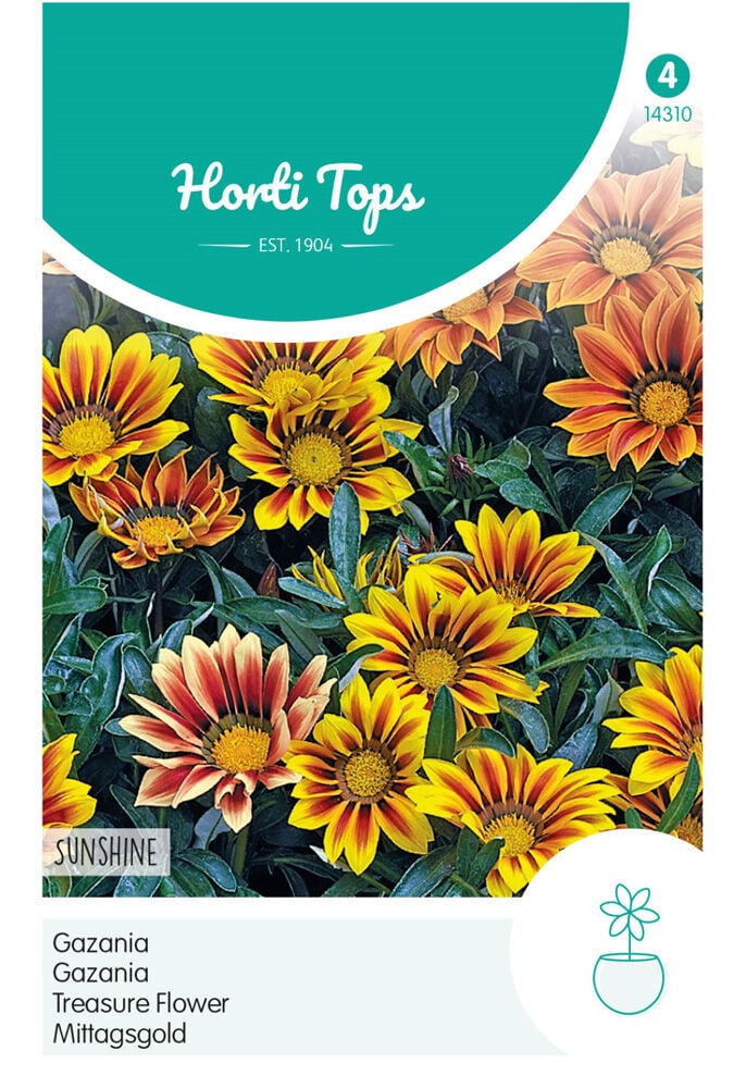 Hortitops Gazania Sunshine - Bloemzaden Hortitops Gazania Sunshine - Bloemzaden