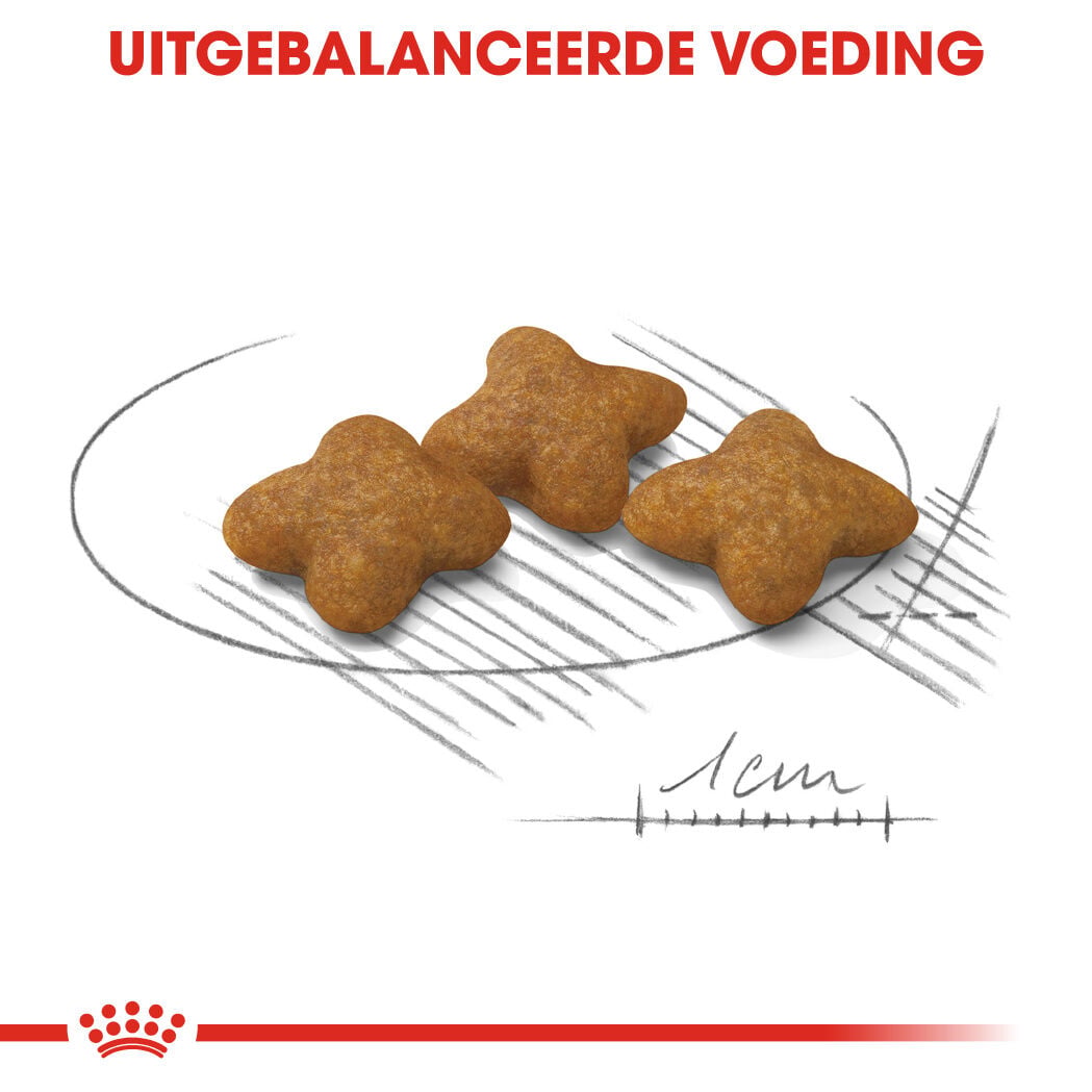 Royal Canin X-Small Sterilised - Hondenvoer - 1.5 Kilogram - gevogelte