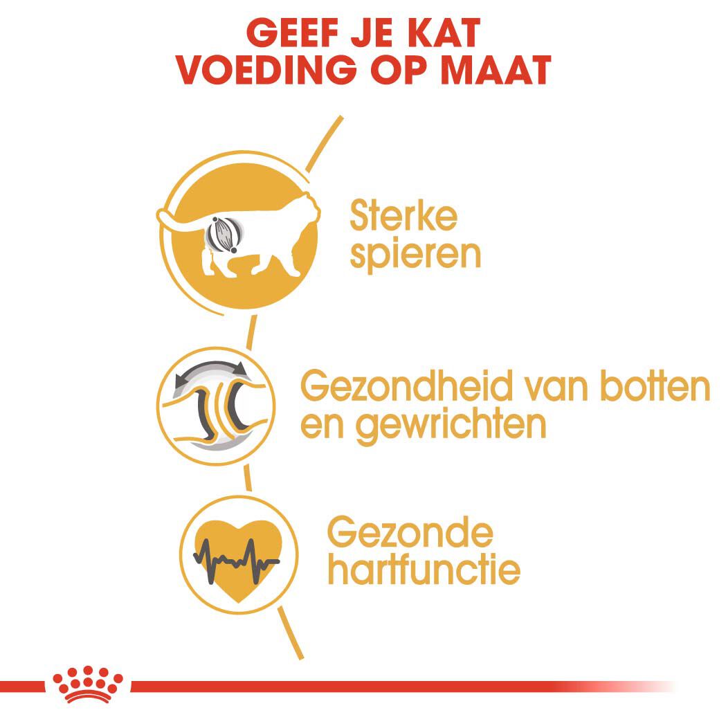 Royal Canin Britse Korthaar Adult - Kattenvoer - 10 Kilogram - Gevogelte