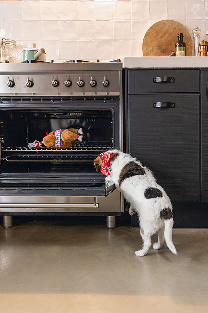 Beeztees Winter Kalkoen - Knuffel - Hondenspeelgoed - Beige - 30x18x18 cm