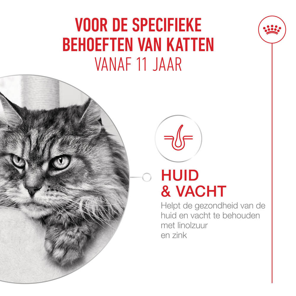 Royal Canin Ageing 11+ - Kattenvoer - 0.4 Kilogram