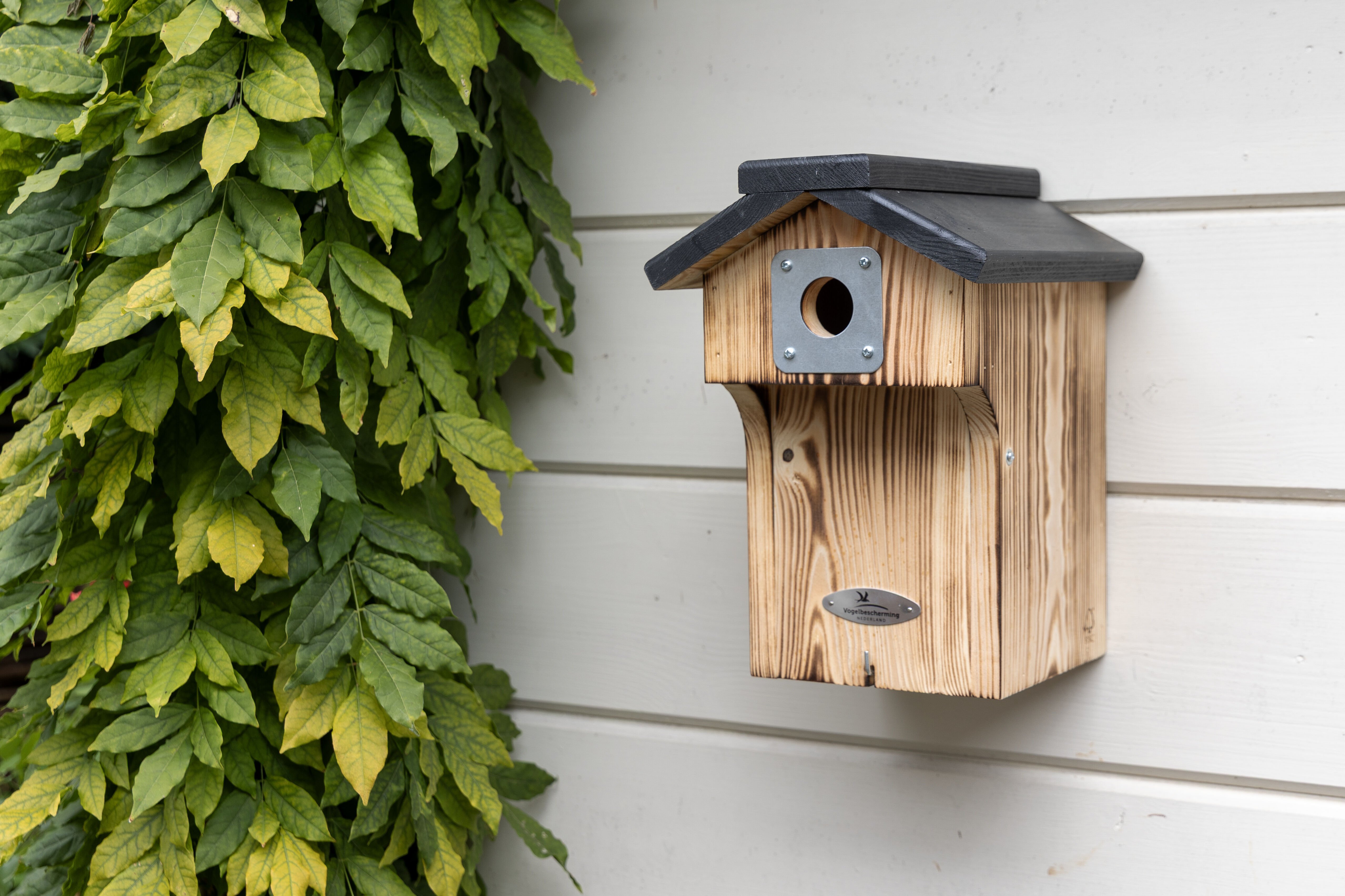 Vogelbescherming - Denton - Nestkast - Bruin, Zwart