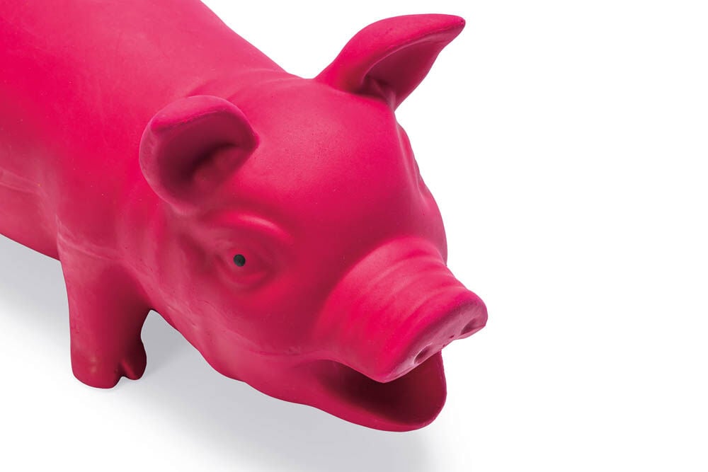 Karlie Varken - Knuffel - Hondenspeelgoed - Roze - 10x12x33 cm