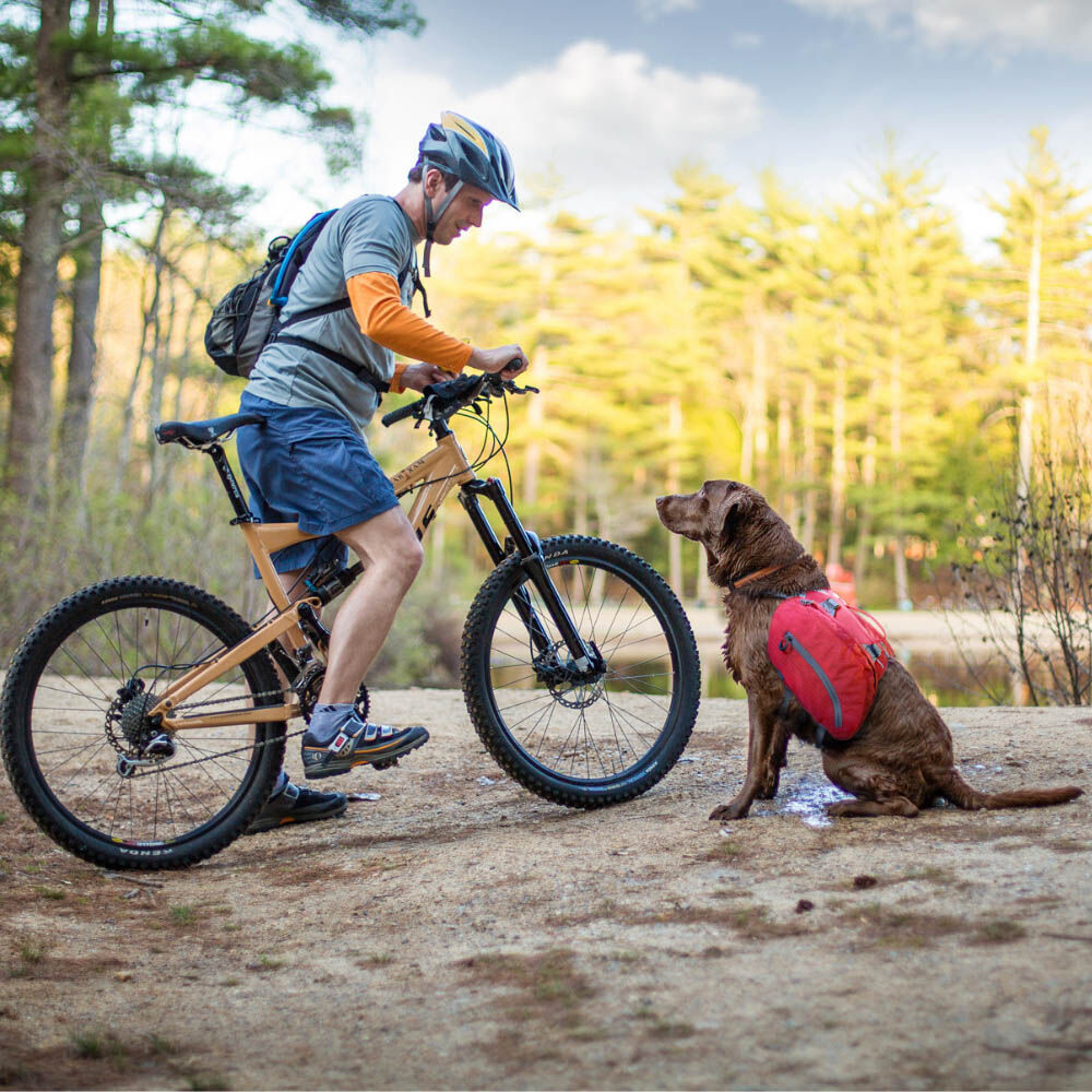 Kurgo Big Baxter Hondenrugzak - Reistas - Rood