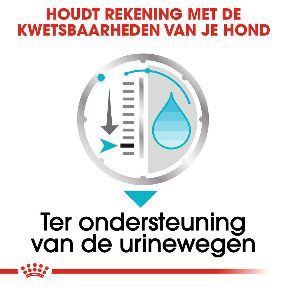 Royal Canin Urinary Care Wet - Hondenvoer - 12x85 gram - 1020 Gram - gevogelte