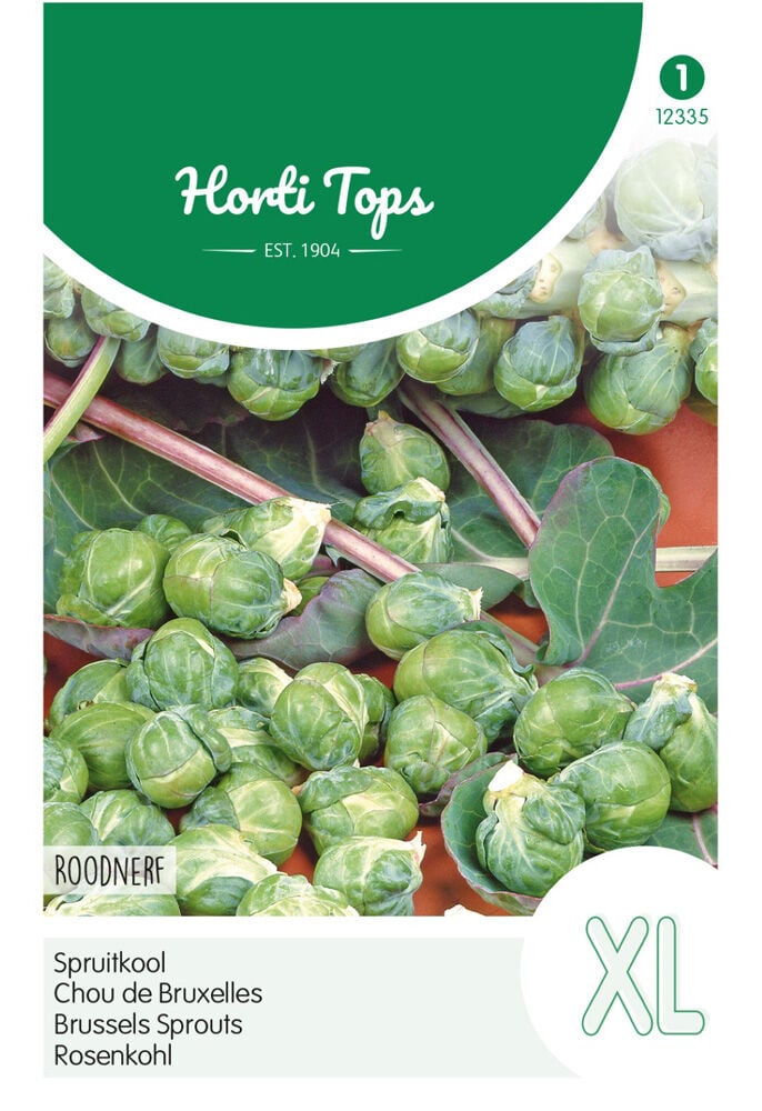 Hortitops Spruitkool Brassica oleracea Roodnerf - Kool Hortitops Spruitkool Brassica oleracea Roodnerf - Kool