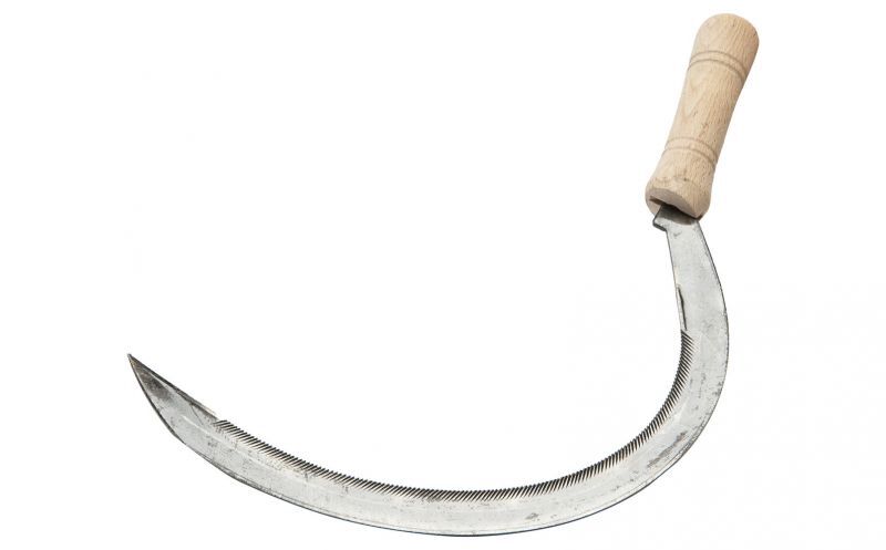 Welkoop Grassikkel - Zeisen