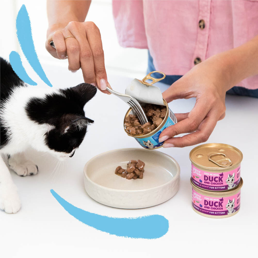 Edgard & Cooper Stukjes in saus - Kattenvoer - 85 Gram - kip, kabeljauw