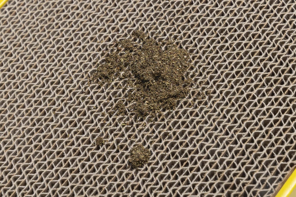 Beeztees Rampino - Krabpaal - Multi - 1x47x1 cm