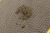 Beeztees Rampino - Krabpaal - Multi - 1x47x1 cm