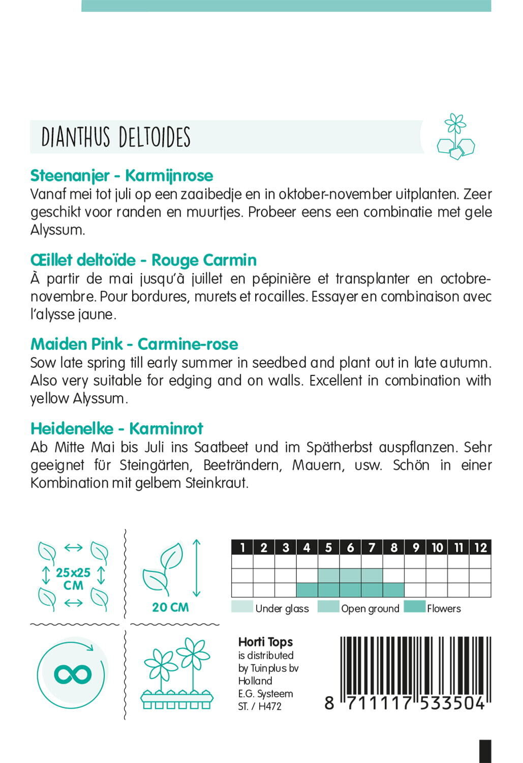 Hortitops Steenanjer Brilliant - Bloemzaden