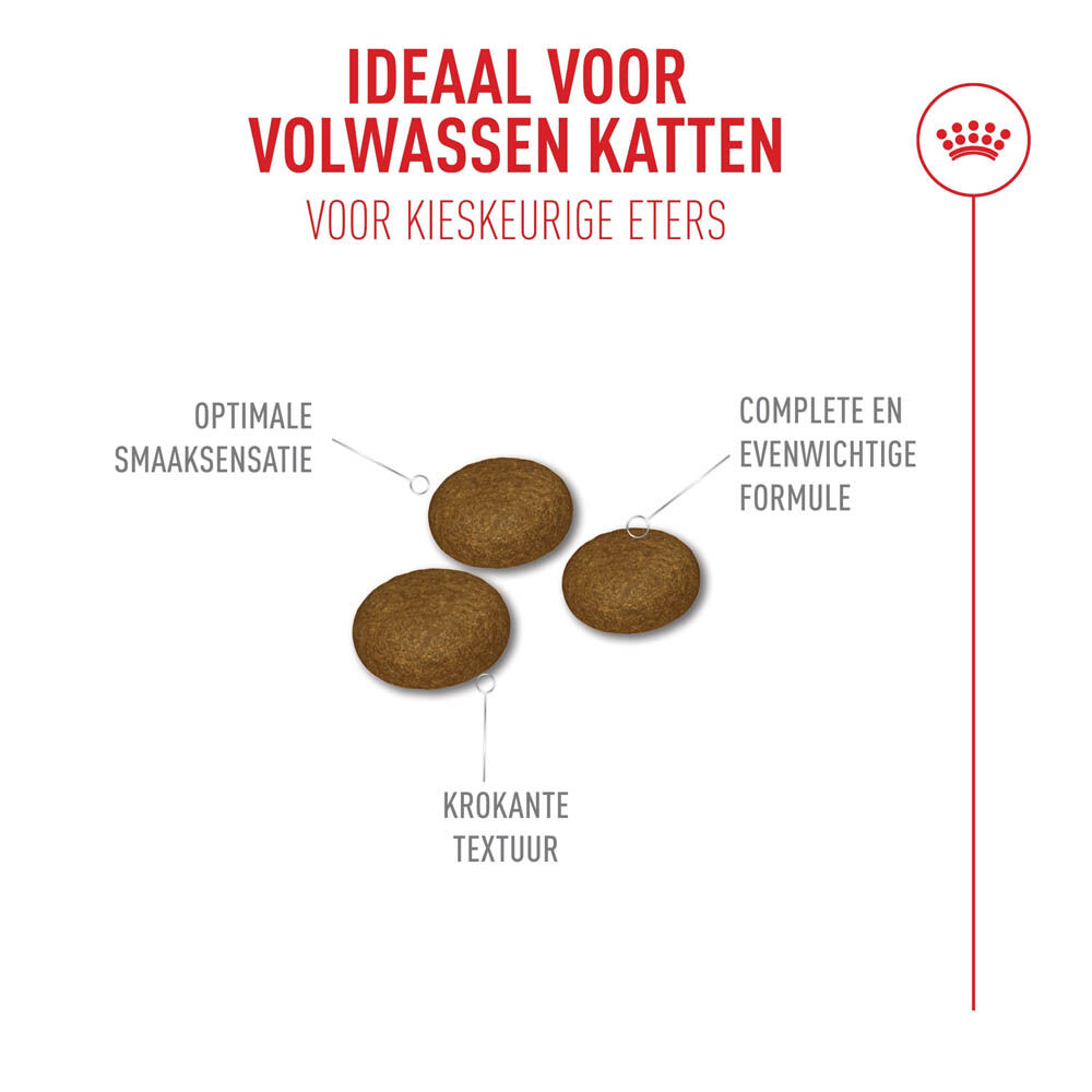 Royal Canin Fussy Exigent - Kattenvoer - 0.4 Kilogram