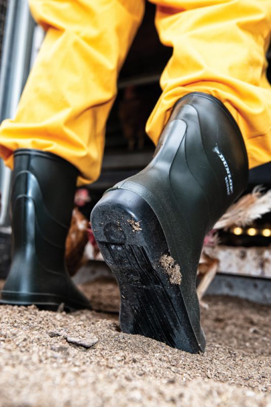 Dunlop B550631 Desinfectie - Werklaarzen - Groen - 40