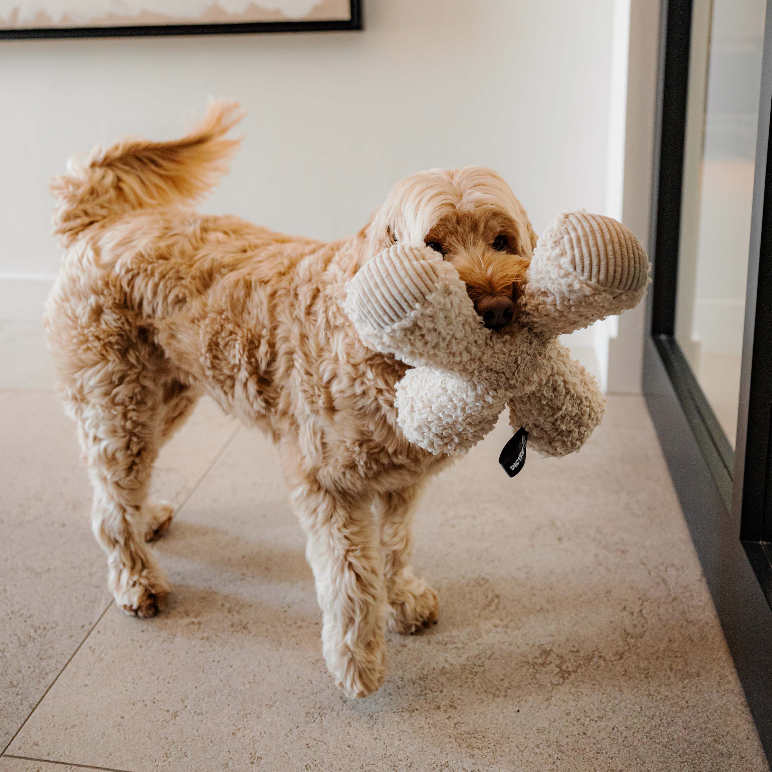 District 70 Ziggy Pluche - Knuffel - Hondenspeelgoed - Merengue - 7x30x30 cm - Large