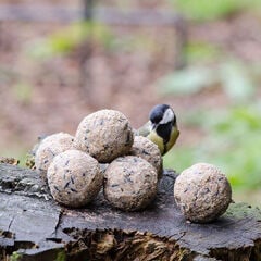 Welkoop Vetbollen zonder netje - Tuinvogelvoer - 50 Stuks - Original