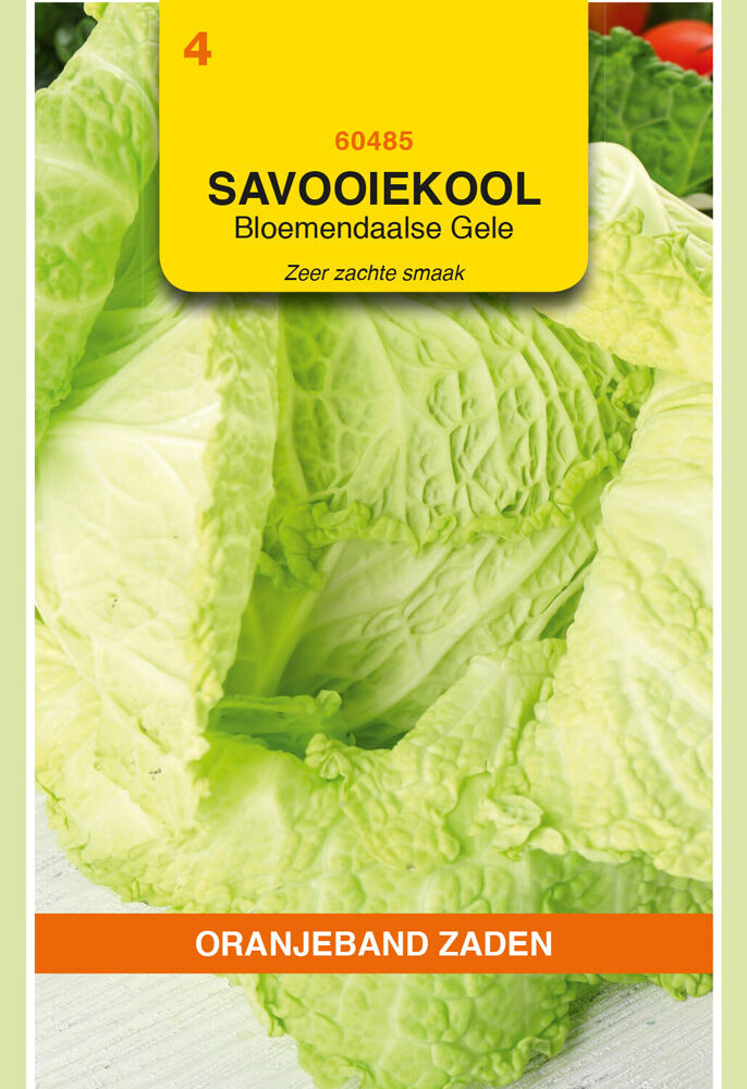 Oranjeband Savooiekool Bloemendaalse Gele - Groentezaden