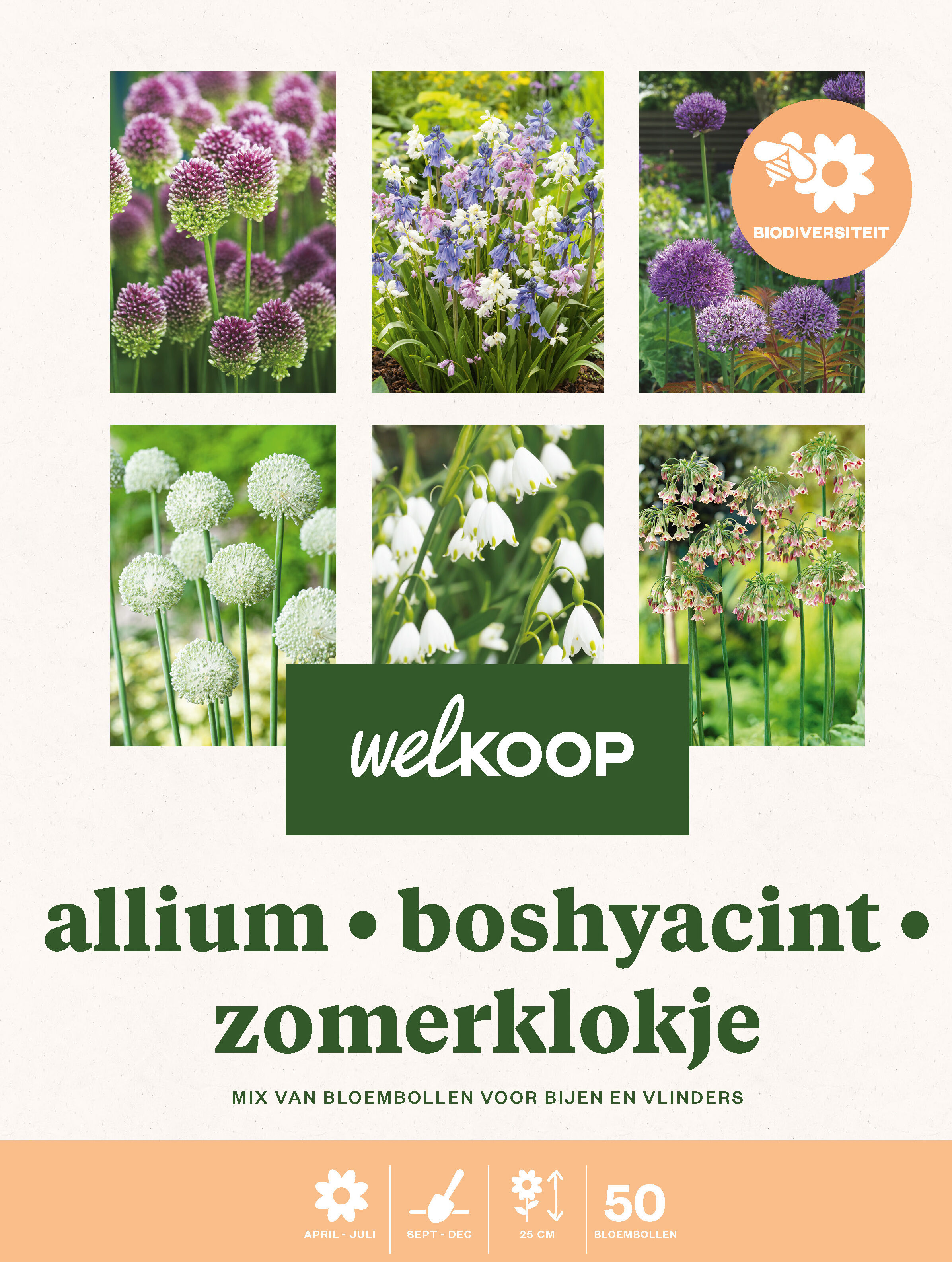 Welkoop Hyacint Zomerklokje Allium Biodiversiteit - Bloembollen