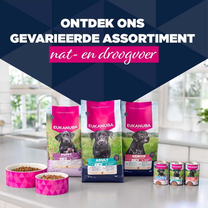 Eukanuba Senior Paté  - Hondenvoer - 400 Gram - lam