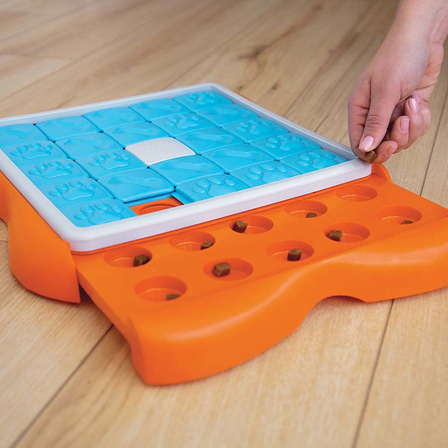 Nina Ottosson Challenge Slider - Puzzel - Hondenspeelgoed - Blauw / Oranje - 5.9x37.9x37.9 cm