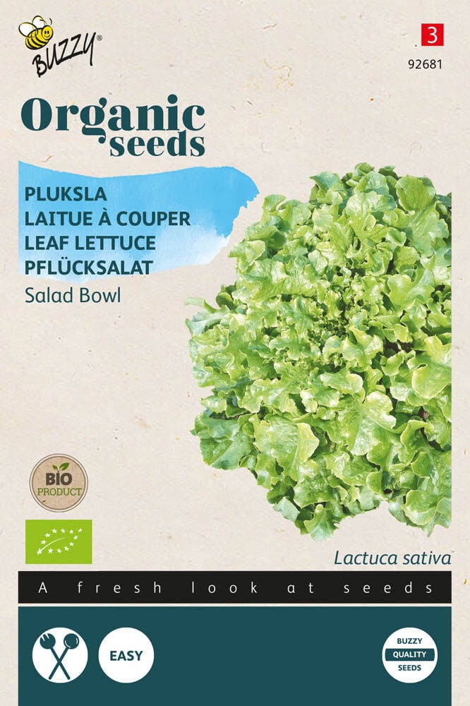 Buzzy Pluksla Lactuca sativa Green Salad Bowl - Sla Buzzy Pluksla Lactuca sativa Green Salad Bowl - Sla