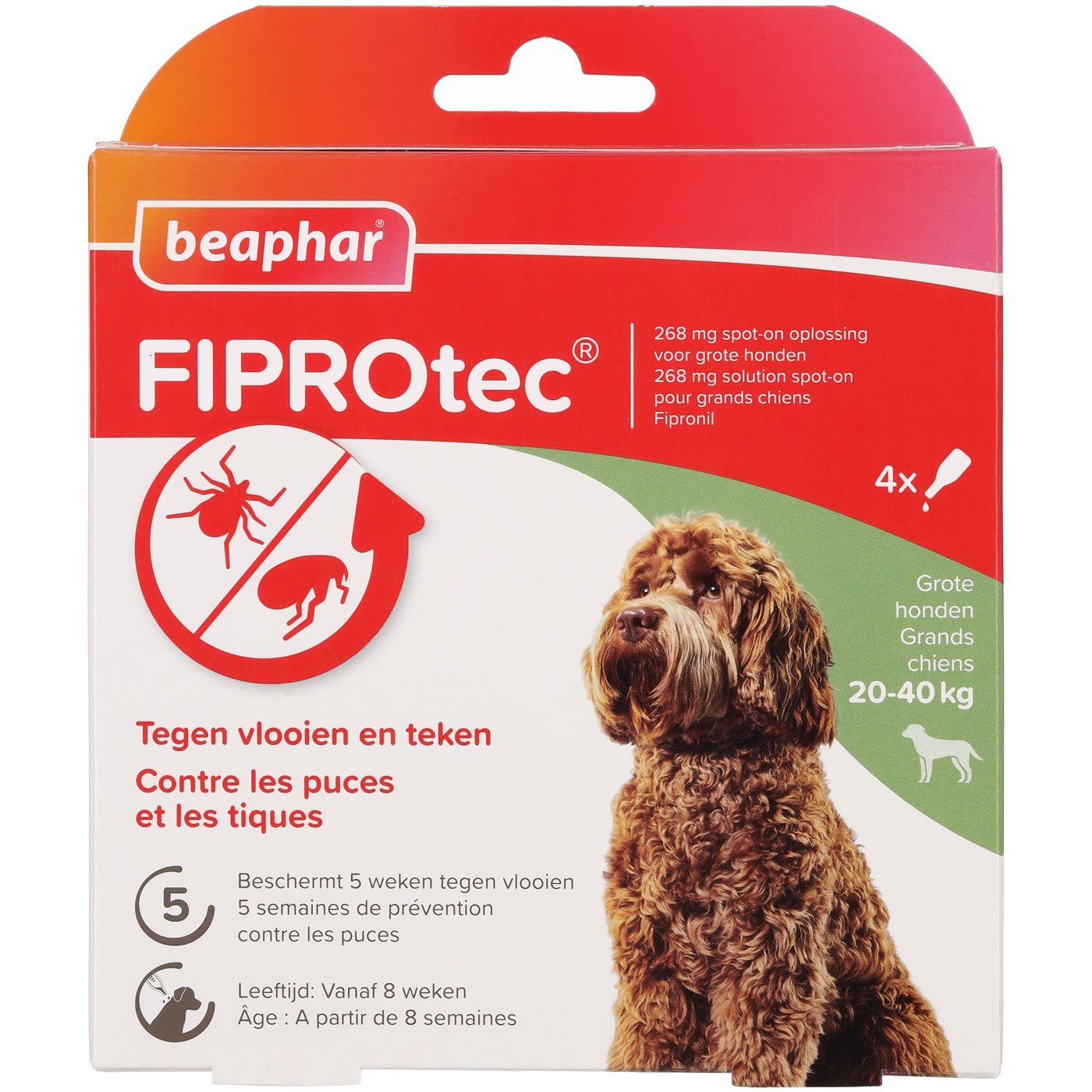 Beaphar Fiprotec Pipet - Anti Vlooien en teken - Hond - 4 Stuks - L Beaphar Fiprotec Pipet - Anti Vlooien en teken - Hond - 4 Stuks - L
