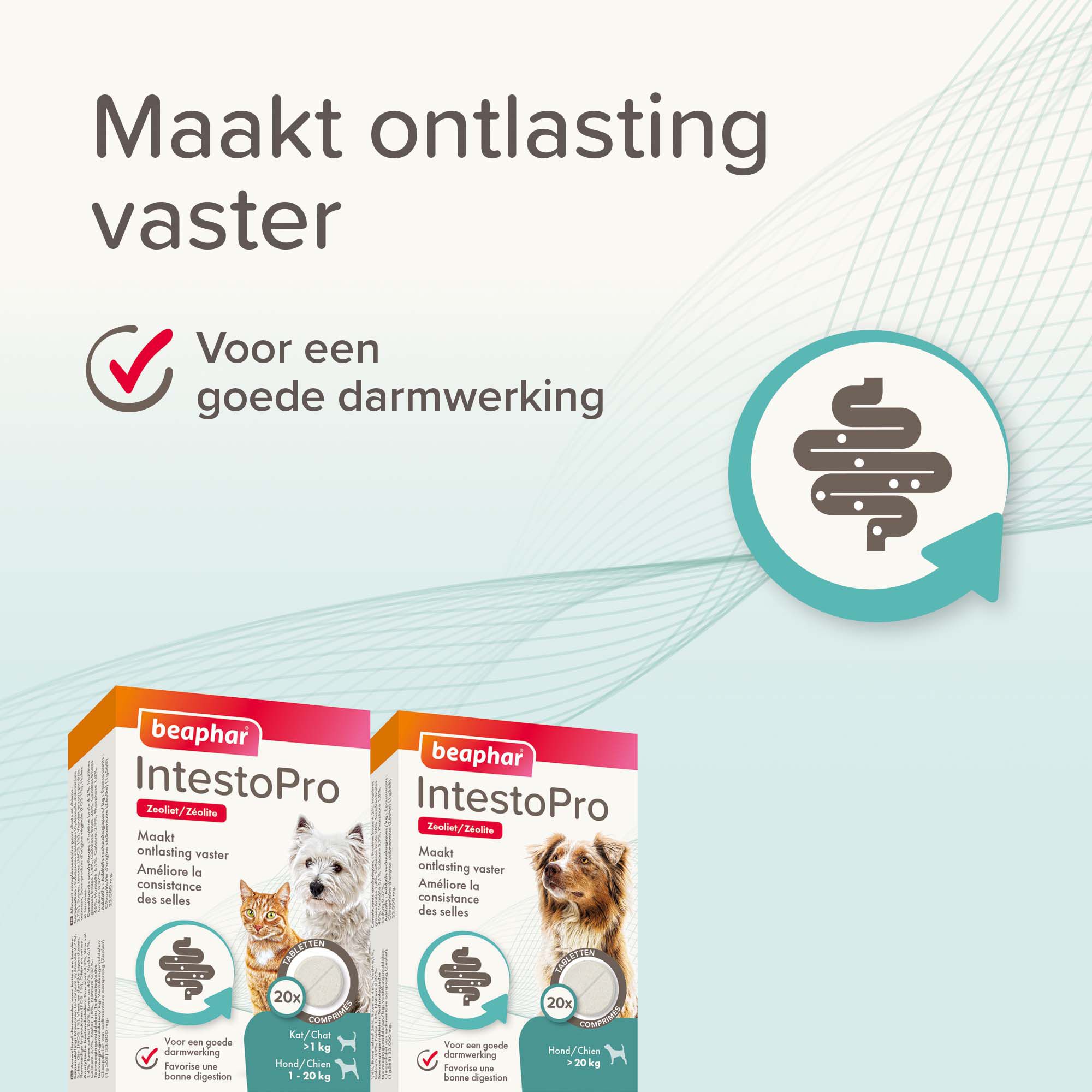 Beaphar IntestoPro Kat - Hond tot 20kg - Verlicht darmproblemen - 20 Stuks - S
