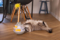 Beeztees Sapi - Kattenspeeltje - Grijs