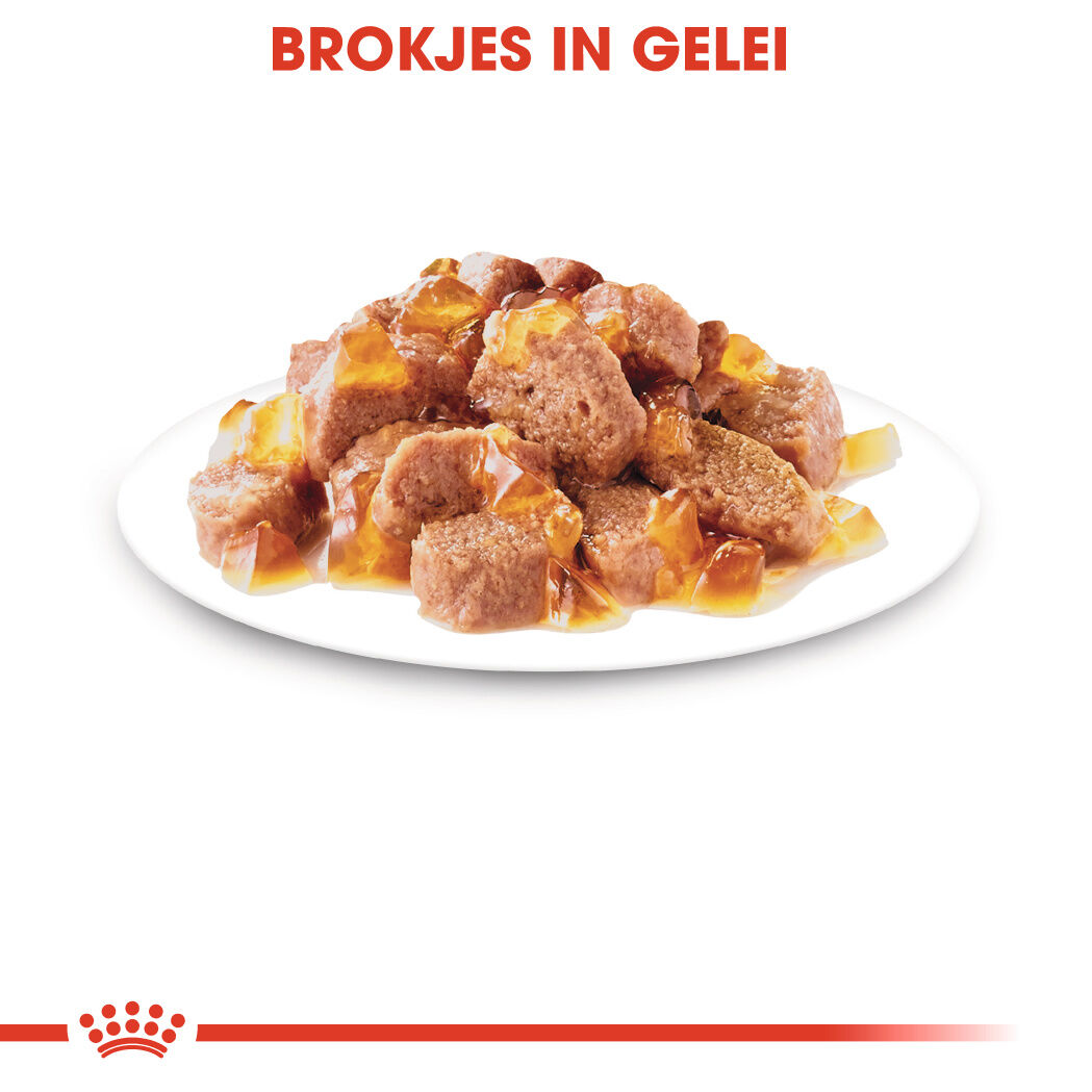 Royal Canin Ultra Light Care Pouch - Kattenvoer - 1020 Gram