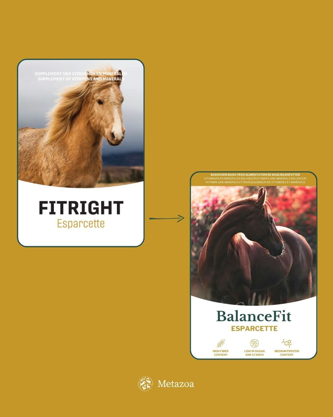 Metazoa Fitright Esparcette - Specialiteit - Paardenvoer - 15 Kilogram - Zak