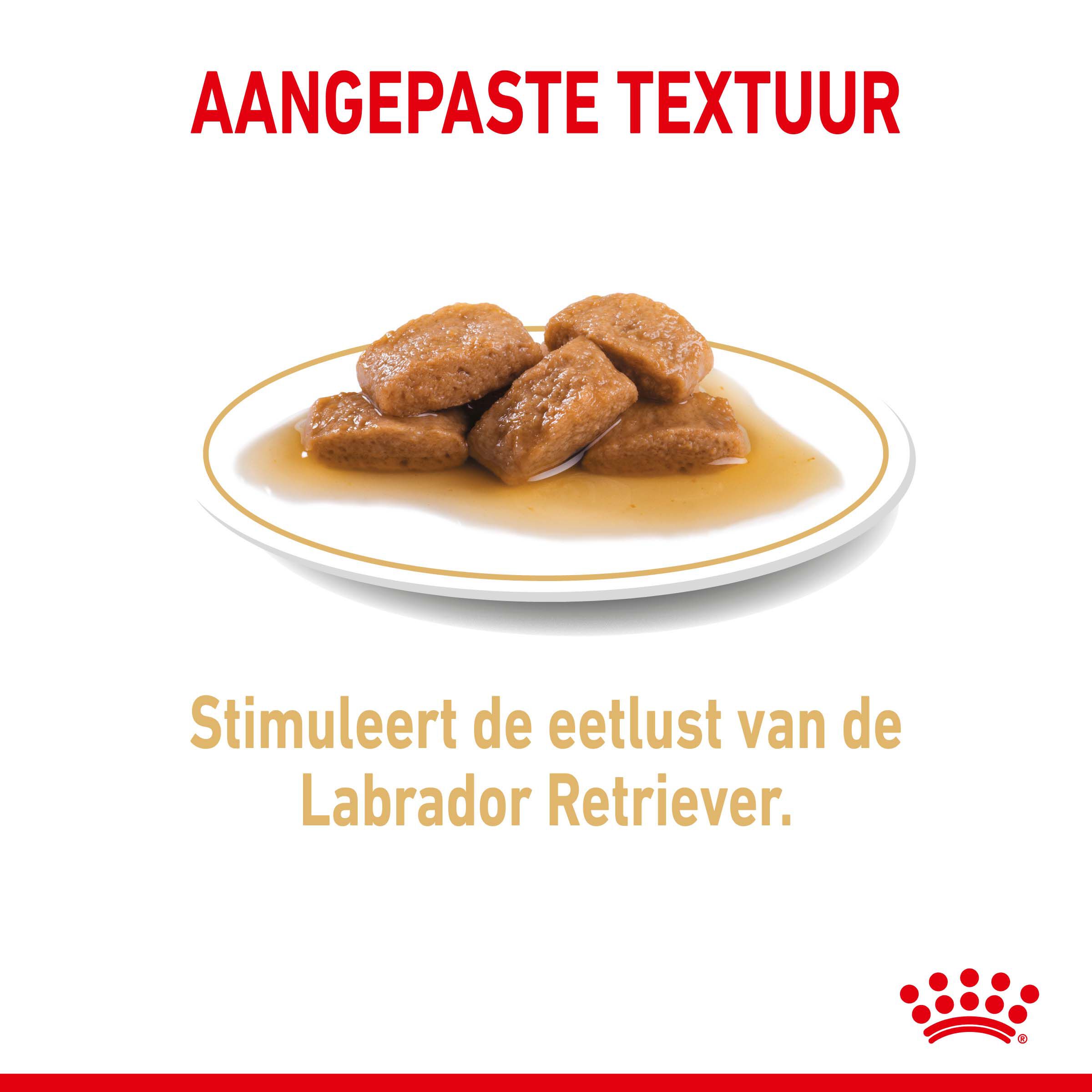 ROYAL CANIN® Adult Labrador Retriever Natvoer 10x 140gr - Hondenvoer - 1400 Gram - gevogelte