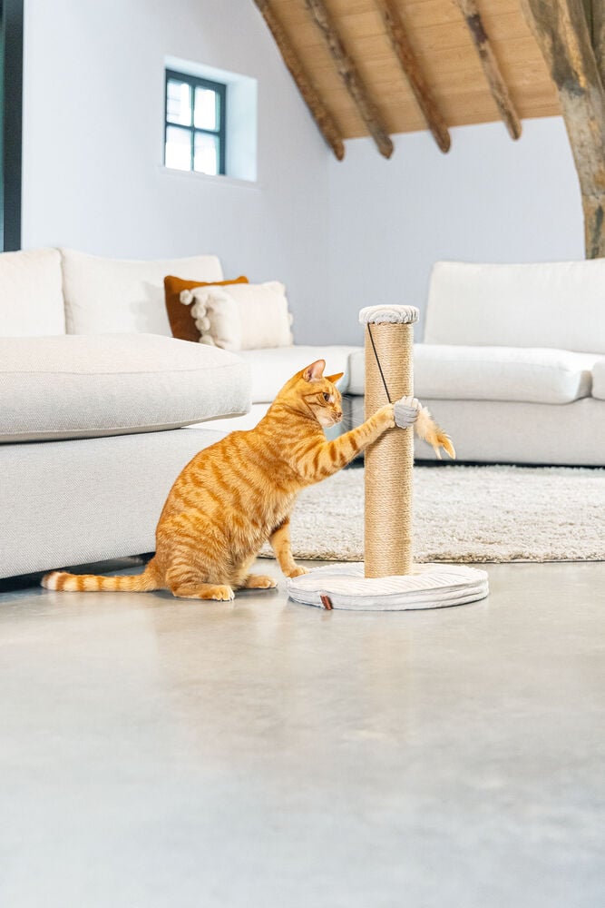 Designed by Lotte Ribbed - Krabpaal - Lichtgrijs - 51x35x35 cm