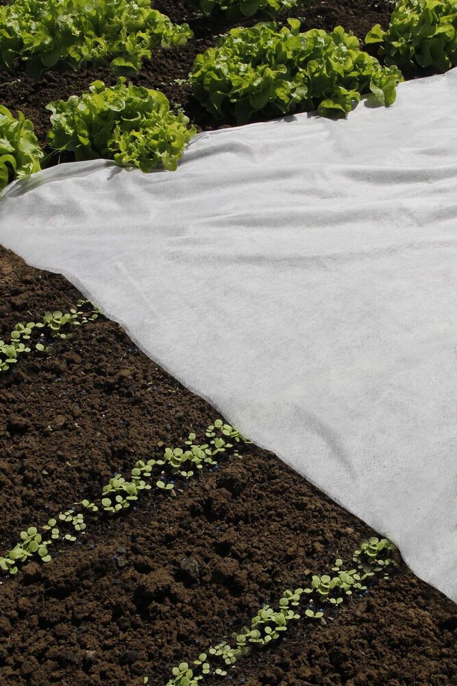 Nature Afdekvlies Groeidoek- Plantbescherming - 200x50 cm - 1000 cm